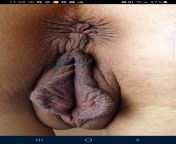 5e44034c04692.jpg from huge labia black shaved pussy lips fat women