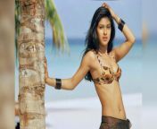 priyanka chopra shares a throwback bikini photo hubby nick finds it hot.jpg from priyanka chopra six 15