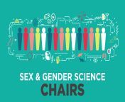 igh sex gender chairs 2021 en.jpg from and sex