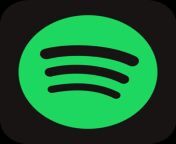 spotify logo transparent icon 2.png from spoty
