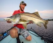 10 best snook lures right now hero 1200x800.jpg from 10 yse