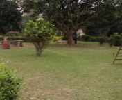 kaldighi park kaldighi dinajpur parks xmwq10lfb1 250.jpg from videos kaldighi park