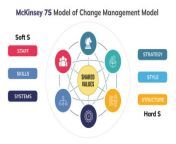 mckinsey 7s change management model.jpg from 7 s