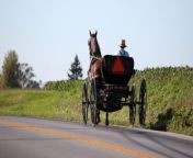 child sexual abuse in amish communities gettyimages 475989945 jpgw548 from www xxx amish p