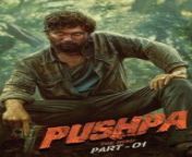 pushpa the rise part 1 12780 poster 160x240.jpg from desi movies
