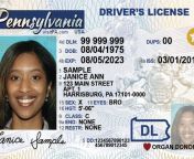 pennsylvania drivers license non binary jpgw1600h1200q88fc5942cf586220089578a95cd33f97ee3 from gender x