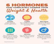 6 hormones infog.jpg from hormones jpg