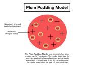 plum pudding model 3 jpeg from pifn model