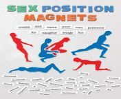 sex positions magnets 9781612437408 lg.jpg from sex positoin