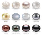 pearl colours 2.jpg from pearl