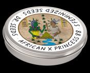 african x princess 88 photoperiod feminized seeds.png from afriçan x