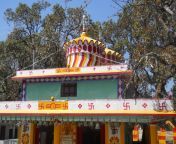 temple near vijaypur jpgw1400h900s1 from vijaypur