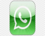 png clipart whatsapp logo iphone whatsapp android mobile app computer icons whatsapp icons no attribution telephone call grass.png from 厦门知识产权纠纷（whatsapp