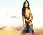 desktop wallpaper katrina kaif latest desert hoot with jeans katrina kaif.jpg from katrina kaif fulww xxx 鍞筹