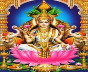 desktop wallpaper goddess lakshmi goddess lakshmi krishna lakshmi and lakshmi lord lakshmi devi.jpg from lakshmi menonsex videosাংলা x vido