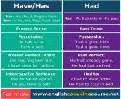 have has had basic english grammar how to use have has had correctly insta.jpg from sh had