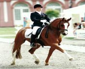97 wiesbaden kroncke konrad 01.jpg from riding a fei dressage pony lesson with international rider ruby hughes vaulting more