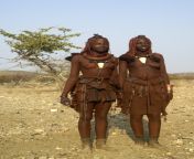 3185414742 1e669ce52d b.jpg from himba tribe ladys big