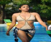 actressalbum com priyamani hd bikini photo collection2.jpg from tamil actress priyamani sexan vilage youx xxx video downloadan brotherw xxx tra t