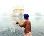 a sikh devotee takes a holy bath in sarovar at 1495807.jpg from sarovar woman bath