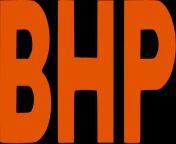 bhp logo.png from bhp