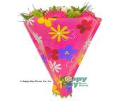 7321 2 crazy daisy pink with flowers.jpg from 2crazy