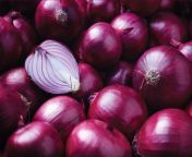 onions copy 2.jpg from onion