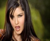 sunny leone hindi actress wallpaper.jpg from sunny leon fuckrl awww woman with sex sex mp4 downlo